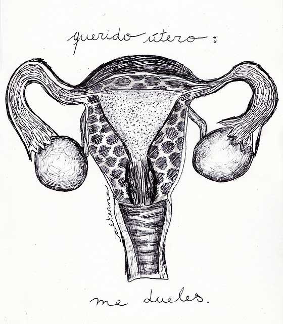 Ciclo menstrual femenino