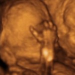 La semana 23 del embarazo: Semillita ya no es una Semillita